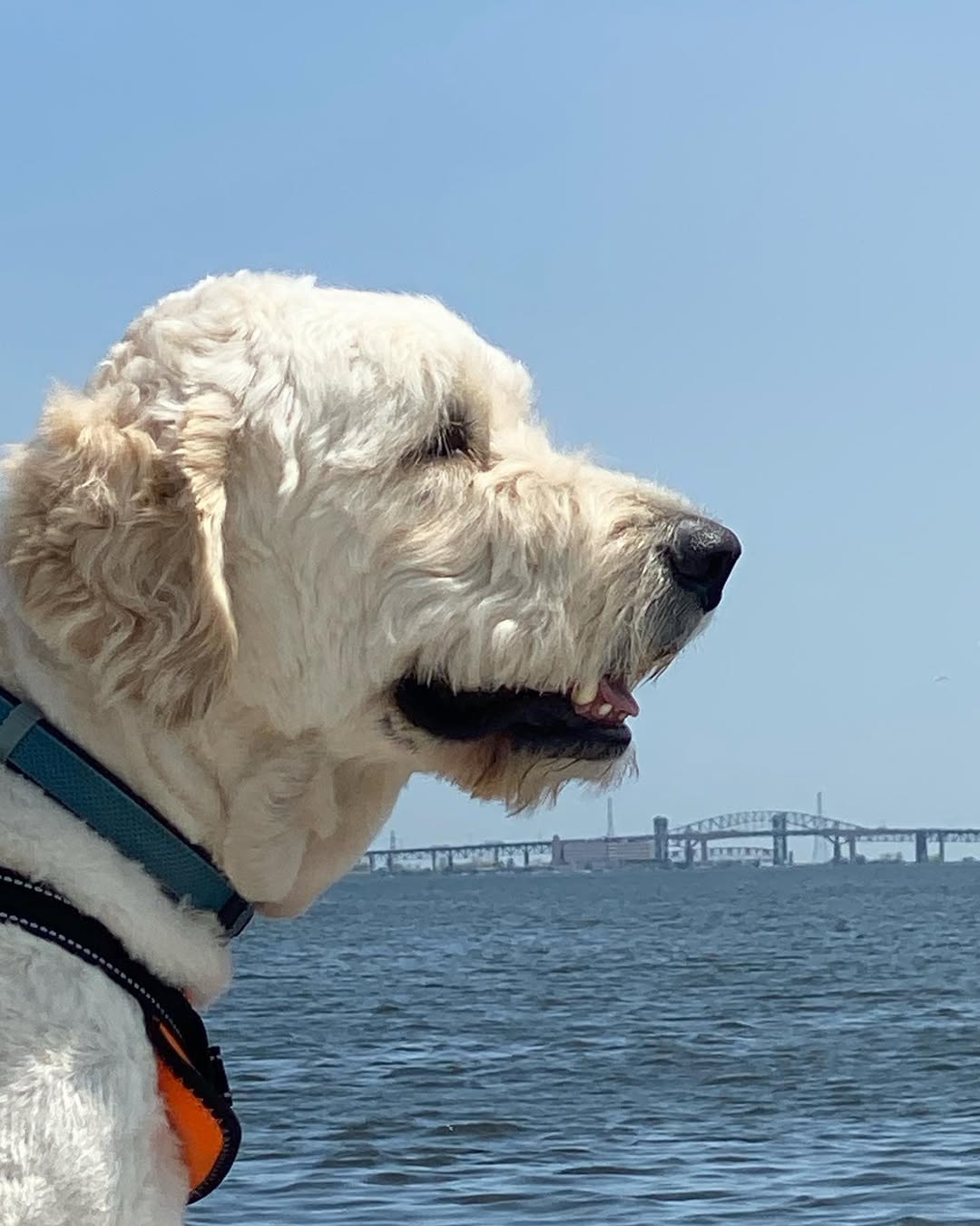 Instagram post by Sonny Doodles On Fifth