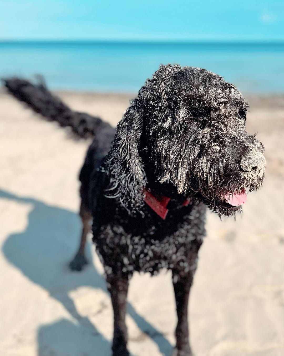 Instagram post by Sonny Doodles On Fifth