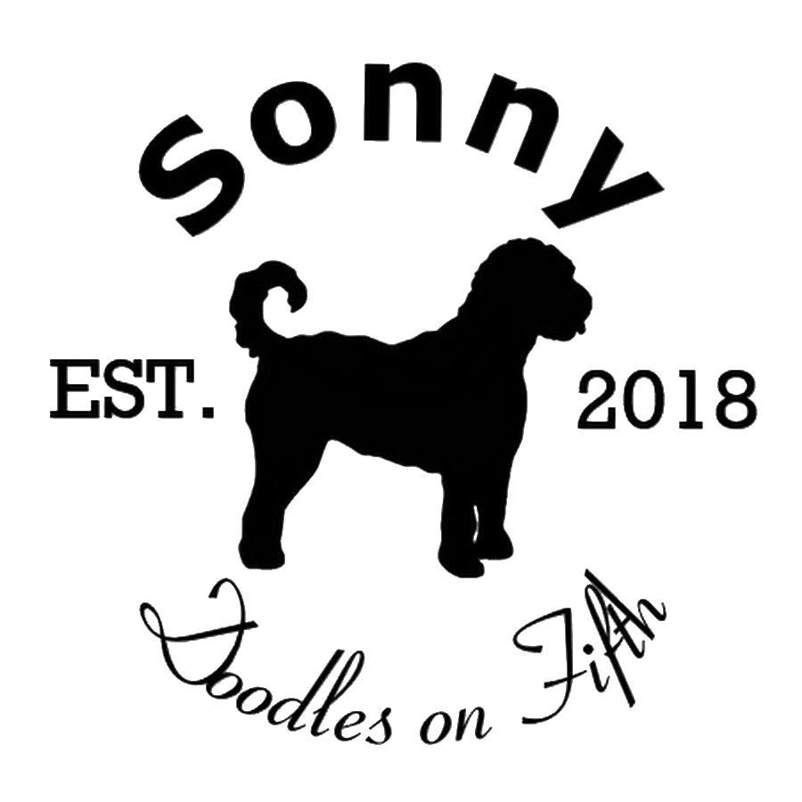 Sonny Doodles on Fifth logo
