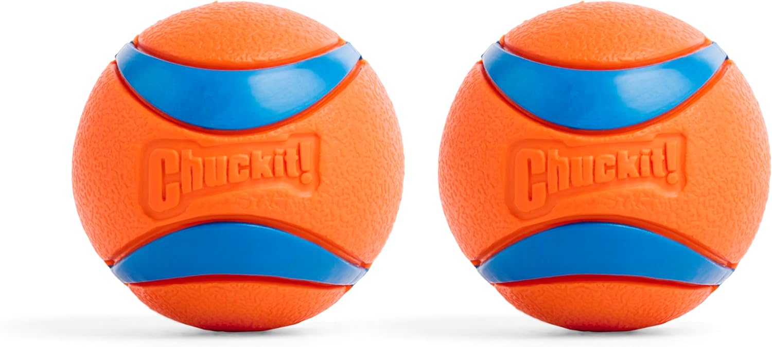 Chuckit! Ultra Ball 2-Pack for goldendoodle toys needs